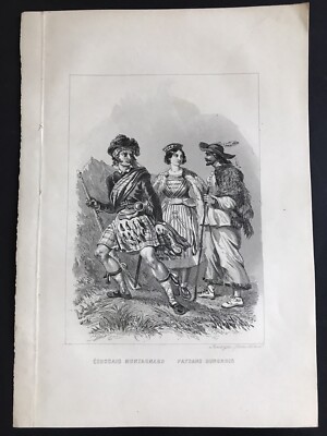 Cardo Incisione Antica Di Botanica Cardo 1834 Crépides e Dandelions Fiori 