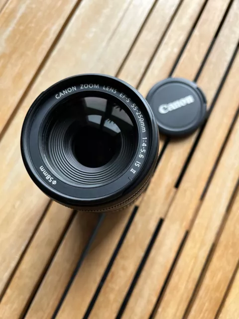 Kompaktes Tele-Zoomobjektiv für DSLR: Canon EF-S 55-250mm f/4-5.6 IS STM 3