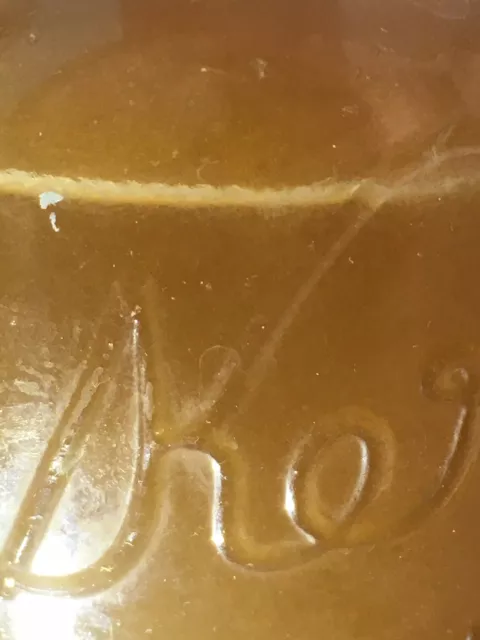 VINEGAR EELS  LIVE STARTER CULTURE - 1 OZ-   Very Active Culture