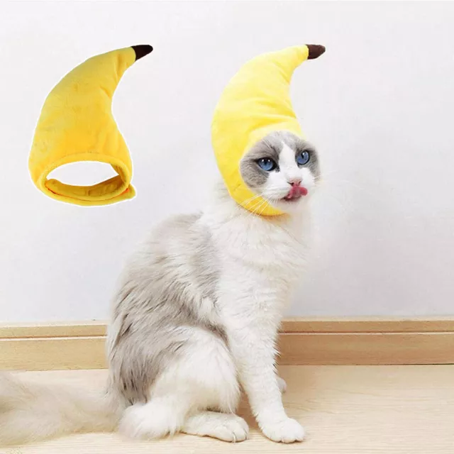 Chapeau En Forme De Banane Pour Animaux De Compagnie Accessoires Amusants ✿