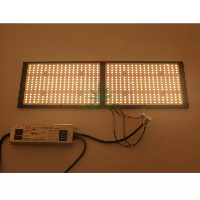 Grow light 240W Samsung Lm301 H +UV+IR+RED / FULL SPECTRE