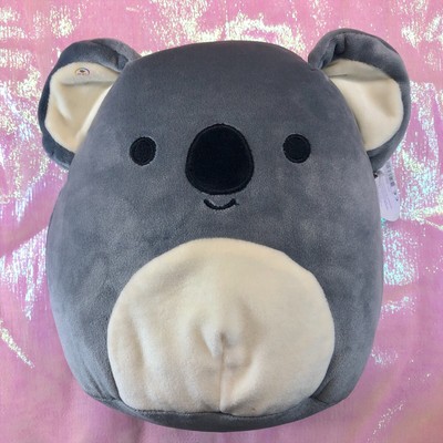 squishmallow kirk koala