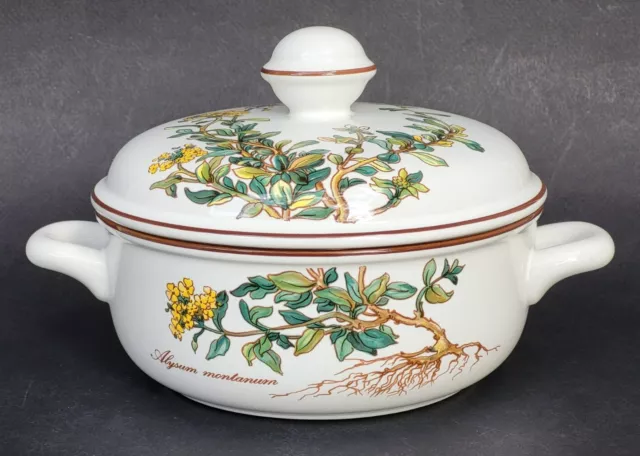 Jolie PETITE COCOTTE SOUPIERE LEGUMIER de VILLEROY & BOCH modèle BOTANICA Ø15cm