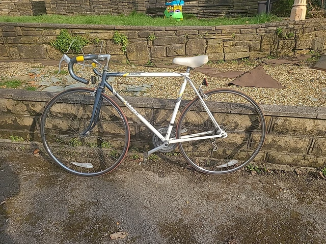 RALEIGH VINTAGE EQUIPE racing Bike Home Leisure Travel Biking Competition 179.00 PicClick UK
