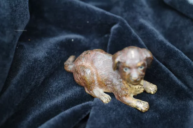 COLD PAINTED FRANZ BERGMAN VIENNA BRONZE PUPPY –7.5 cm marked geschultz