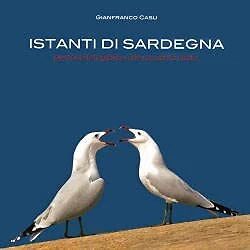 istanti di sardegna percorso fotografico che racconta l'isola casu 888906160X