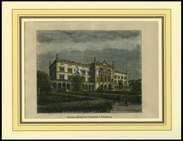 KÖNIGSBERG: die neue Universität, kolorierter Holzstich um 1880