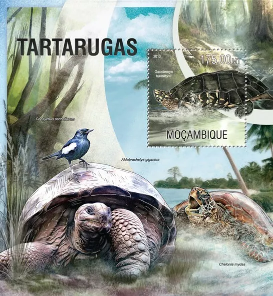 2013 MOZAMBIQUE MNH. TURTLES  |  Michel Code: 6671 / Bl.773  |  Scott Code: 2943