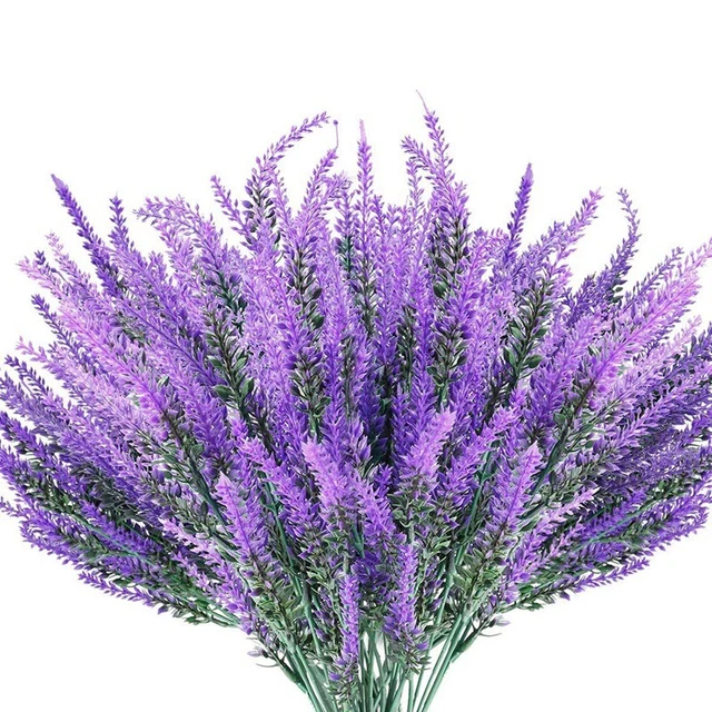 8 flores de lavanda para exterior, confirmación UV, Ke Y9H7