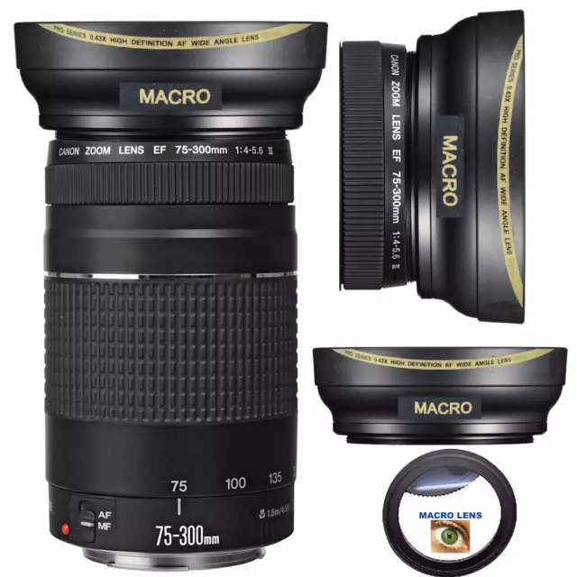 FISHEYE LENS + MACRO LENS FOR Canon EF 75-300mm f/4-5.6 III Lens EOS Rebel