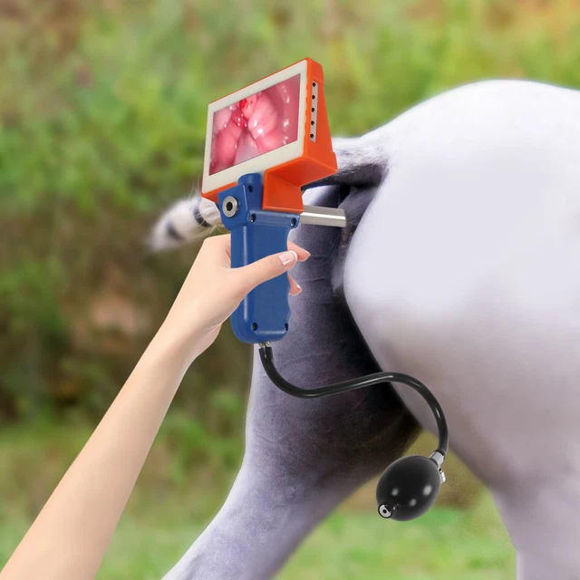 Visual Insemination Gun Kit LCD Screen Cows Cattle Artificial Insemination Gun