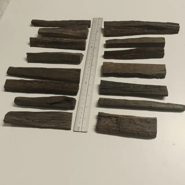 15 Pieces of Irish Bog Oak wood (morta) Sizes relative to Scale Rule