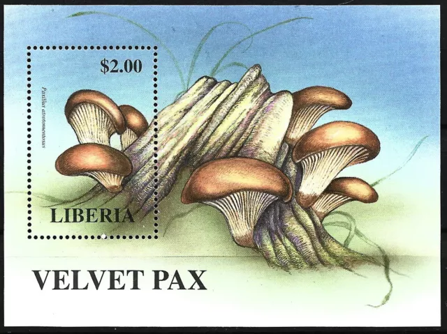 Liberia - mushrooms from all over the world block 179 mint 1998 mi. 2074