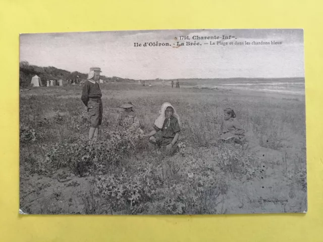 CPA 17 - ILE d'OLÉRON Charente Maritime LA BRÉE La PLAGE dans les CHARDONS BLEUS