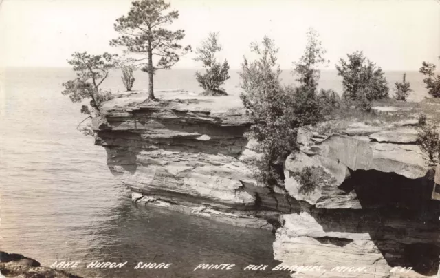 CEN Point Aux Barques Port Austin MI RPPC Lake Huron MOTHER NATURES Shoreline! 2