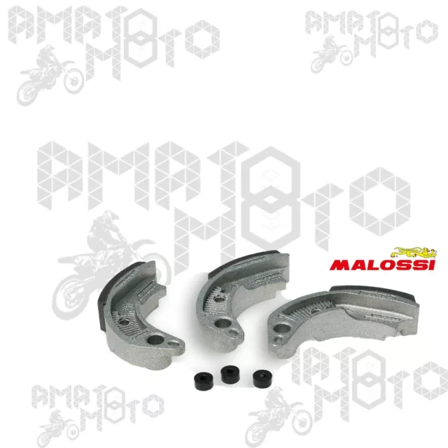 Complessivo Masse Malossi Per Frizione Automatica 529033 Delta Clutch