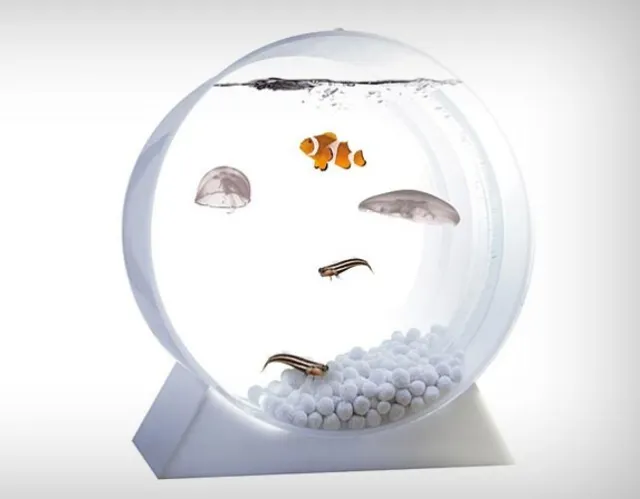 JELLYFISH ART Desktop Aquarium Kit For Live Fish W/ Pump, Accessories