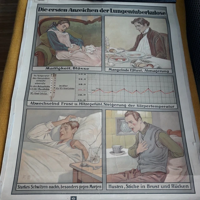 Medizin  Wandtafel Leinen -  Tuberkulose  alt