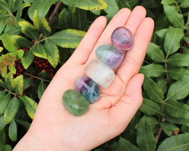 Lot of 5 Medium Fluorite Tumbled Stone Crystal Healing Gemstone Rainbow Fluorite