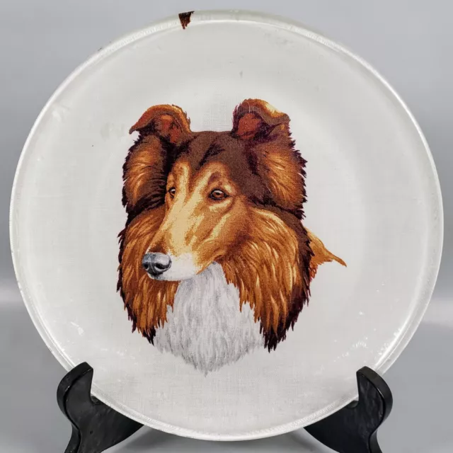 Vintage Border Collie Dog Lassie Clear Plate Decor Hand Made Crafts