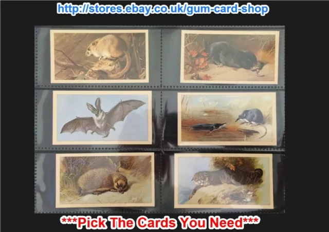 Player's - Grandee British Mammals 1982 (Imp. Tob. Ltd) (Vg) *Please Select*