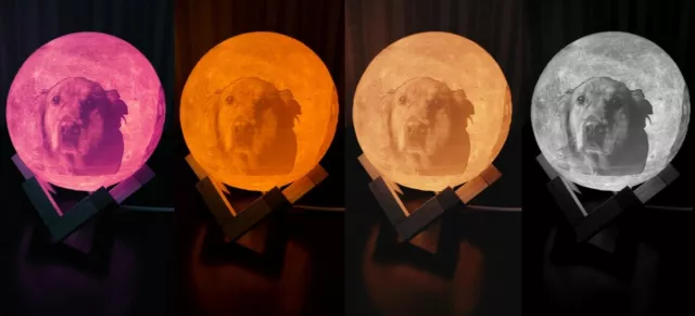 3D Pet Memorial Moon Lamp Table Moonlight Night Light Smart Dog Cat Phone App 2