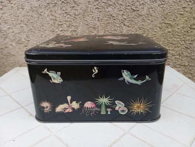 Boîte d'élevage de poissons - Mini - Acrylique - Transparent
