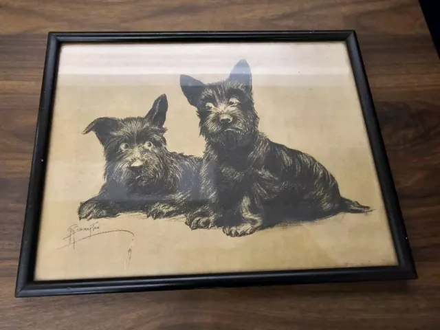 Scottish Terrier Dog Print Signed By Grace Drayton 1930s Vintage 10 X 8