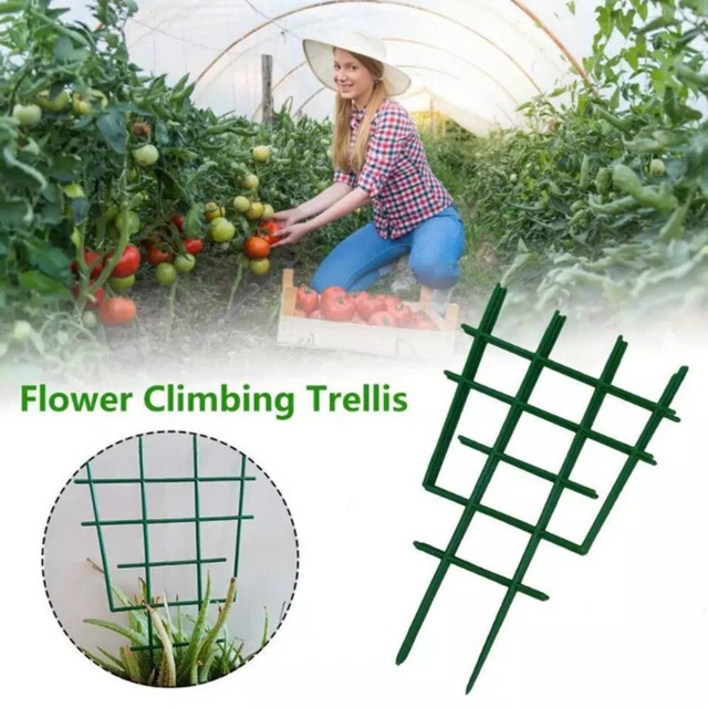 2PCS CLIMBING PLANT Support Cage Garden Trellis Flowers Stand Rings