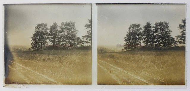 France Paysage Artistique Photo Stereo P50L3n7 Plaque de verre Vintage c1930