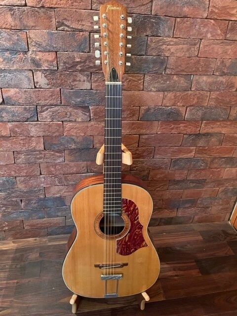 Framus hootenanny discount 12 string