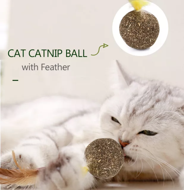 Natural Catnip Mint  Ball  Feather Treat Ball   Scratcher Ball A0H8