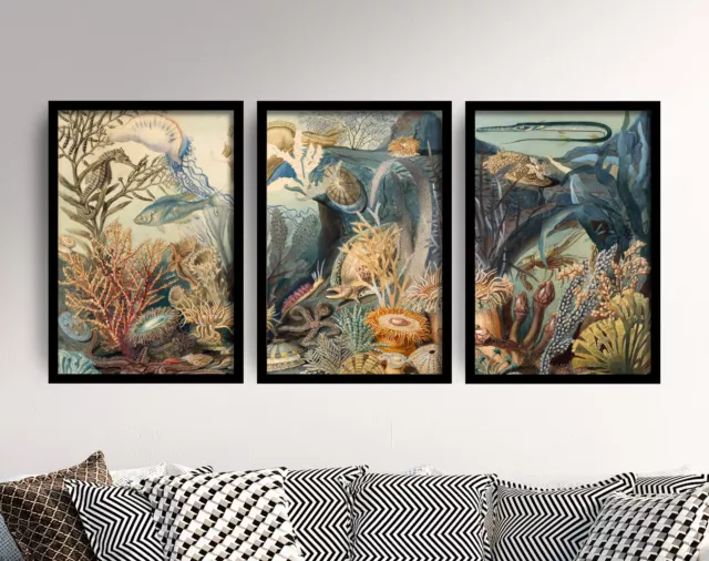 James M Sommerville Ocean Life Triptych Set of 3 Art Print Painting Poster