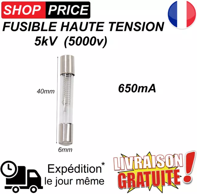 Fusible haute tension pour micro-ondes 5KV 0.65A (650mA)  NEUF