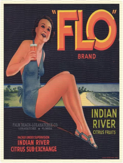 Flo Brand Florida Fruit Label 9" x 12" Metal Sign