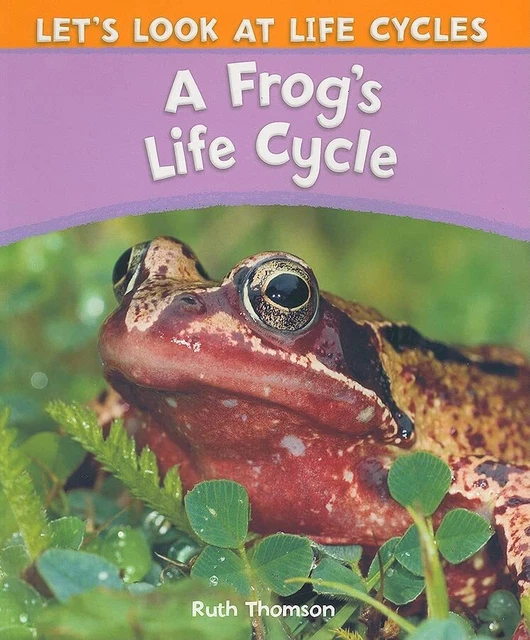 frog cycles