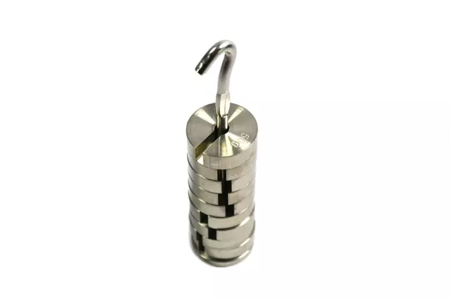 Slotted Mass Set with Hanger - Stainless Steel - 9 Weights Totaling 500G -  Labs