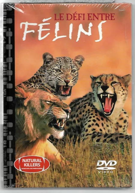 LE DEFI ENTRE FELINS / DVD Broché Neuf sous blister - VF