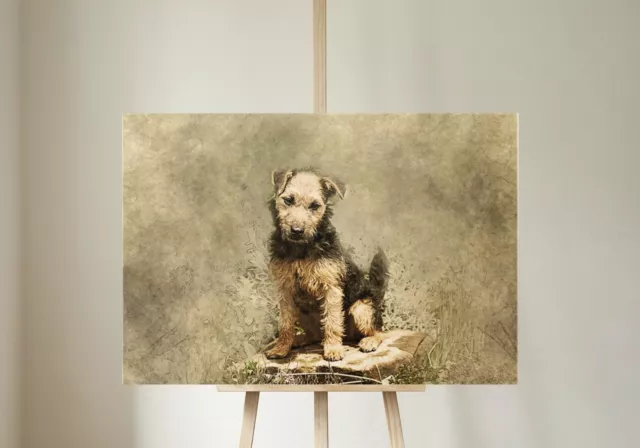 Cute Abstract Lakeland Terrier Dog Canvas Picture Print Framed Wall Art 2