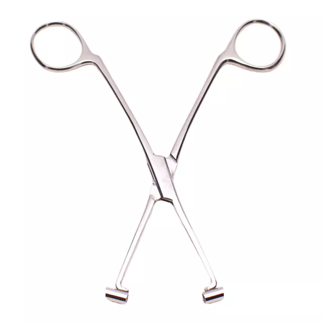 6 "Professional Stainless Steel Septum Forceps Body Piercing Clamp Tool