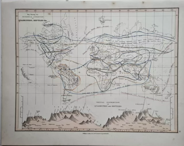 1878 Antique Map Of World Geological Distribution Quadrupeds Reptiles Porpoise