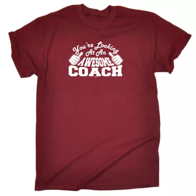 Youre Looking At An Awesome Coach - Mens Funny Novelty T-Shirt Tshirts T Shirts