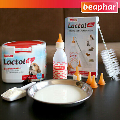 Beaphar-Set : Lactol Élevage Set (8-teilig) + 500 G Auzucht-Milch pour Chiens