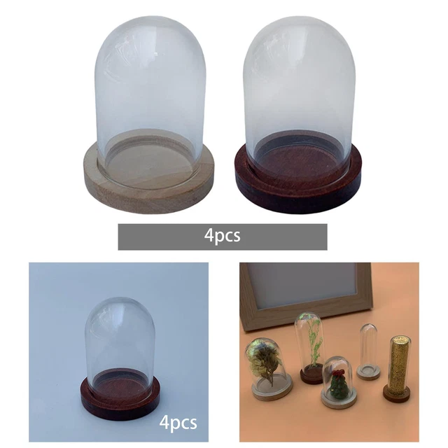 BENECREAT 24 Cloches Dôme En Verre 3 Tailles - Base Liège Pour Décoration Et Bricolage