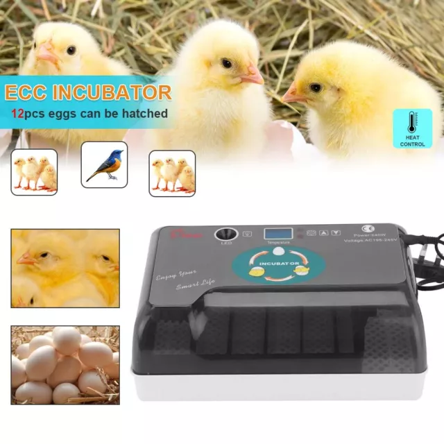Egg Incubator Digital Fully Automatic 12 Eggs Poultry Hatcher for Chickens HOT