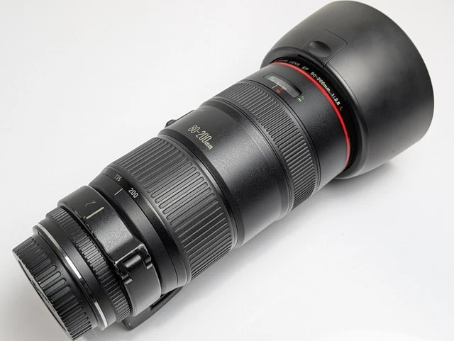 Obiettivi zoom Canon Canon EF per fotografia e video | Acquisti Online su