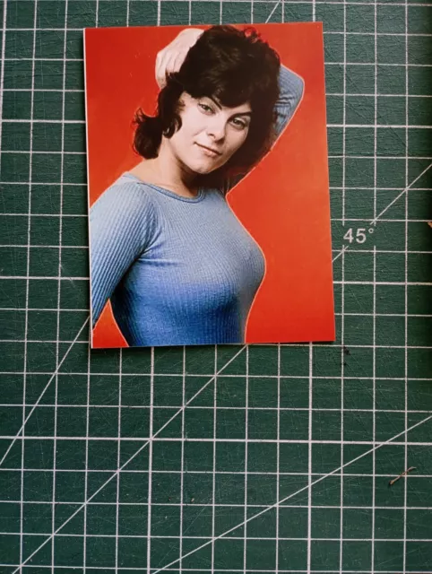 ZP862 beau retirage photo 7x10cm sexy Pin up actrice Adrienne Barbeau