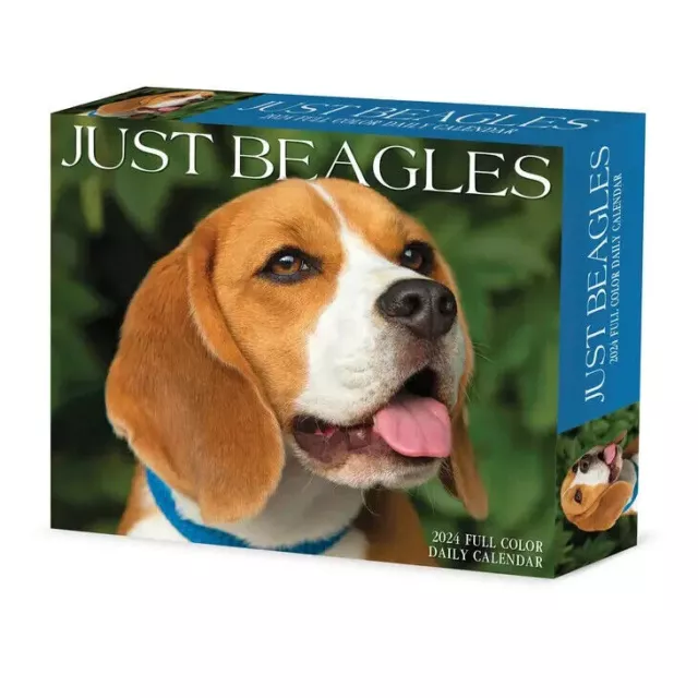 Willow Creek Beagles 2024 6.2" x 5.4" Box Calendar w