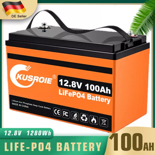 12V 7-50Ah Lithium Batterie LiFePO4 Akku BMS für Wohnmobil Solarbatterie Boot RV