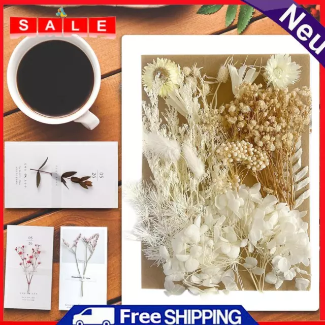 Dried Pressed Flowers for Resin Molds A5 Natural Dry Flowers DIY Candle (F)